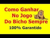 Xispa jogo do bicho